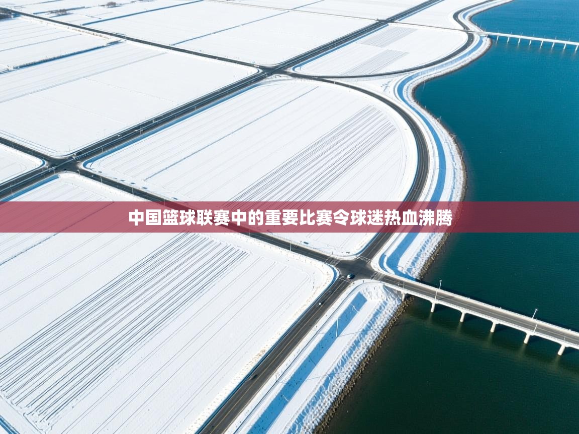 中国篮球联赛中的重要比赛令球迷热血沸腾  第1张